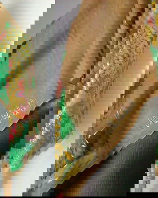 ESARFA MATASE NATURALA PICTATA MANUAL