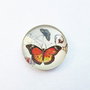 LMCB15 - cabochon