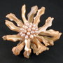 9150 - Pandantiv / brosa, gherute sidef  beige, perle de cultura beige cu irizatii
