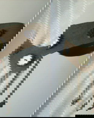 CUREA BAVAREZA TALIE