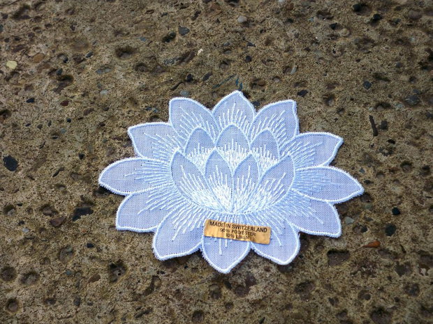 Flori de lotus