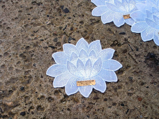 Flori de lotus