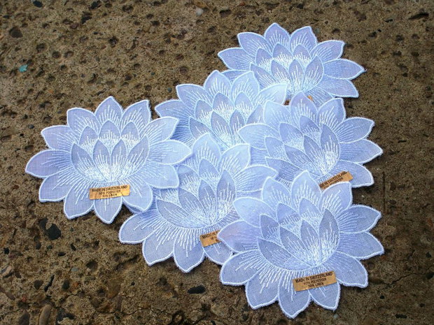 Flori de lotus