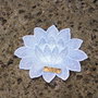 Flori de lotus
