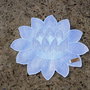 Floare de lotus3