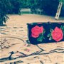 Gentuta clutch Roses & Black