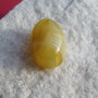 Cabochon 9 din agata striata (striped agate) aprox 14x20x30 mm
