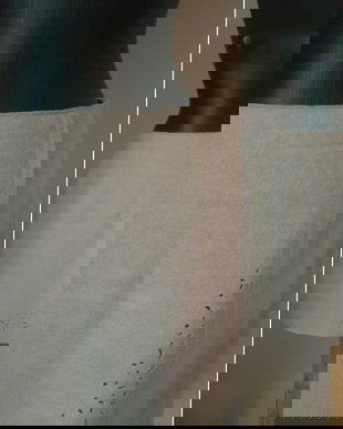 MARC CAIN FUSTA STOFA LANA FIARTA LILA