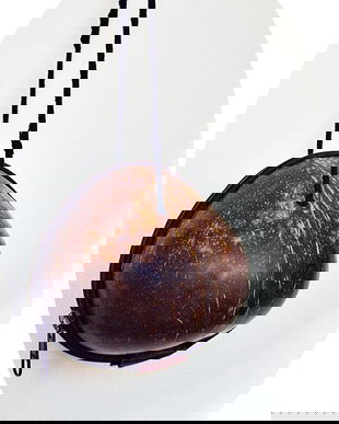 gentuta din nuca de cocos