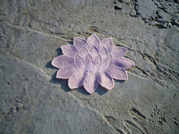 Floare de lotus4