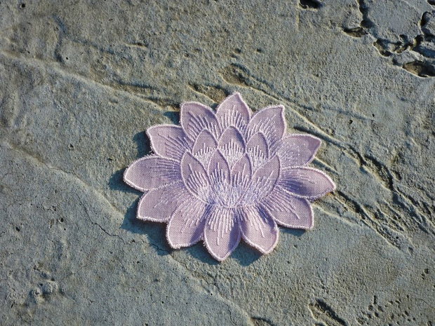 Floare de lotus4