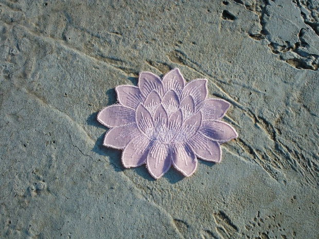 Floare de lotus4