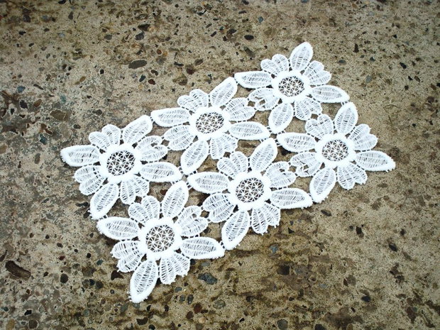 Dantela 206