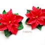 Poinsettia(Craciunita) - brosa