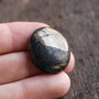 Cabochon Apache Gold  - natural netratat