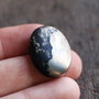 Cabochon Apache Gold  - natural netratat