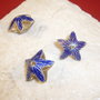 Steluta royal blue cloisonne aprox 12x20 mm