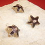 Steluta maron ciocolata cloisonne aprox 13x20 mm