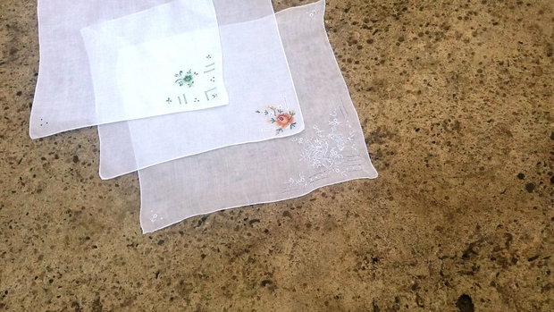 Broderii 1