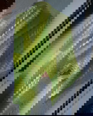 SUPERBA ESARFA MATASE NATURALA BORANGIC