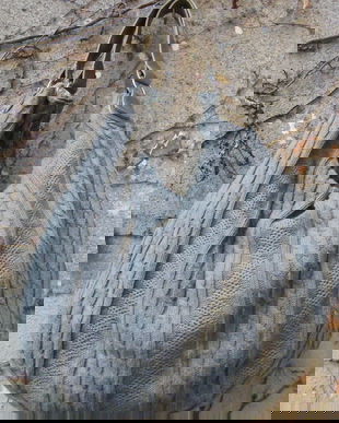 Geanta tricotaj/noua