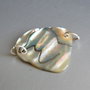 Link (conector) Paua Shell (LNZ25)