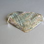 Link (conector) Paua Shell (LNZ31)