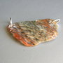 Link (conector) Paua Shell (LNZ32)