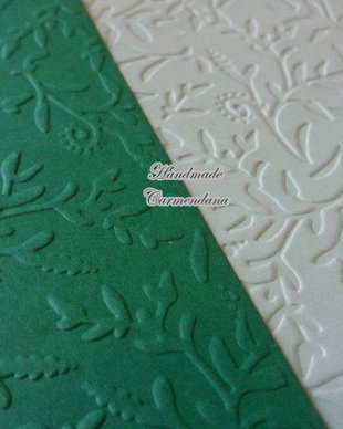 Carton embosat
