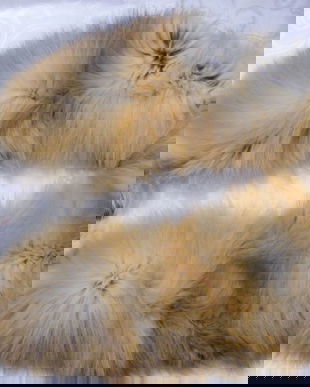 Guler blana de vulpe-NOU