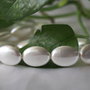 Perle seashell 18x13x7mm (1)