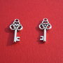 Cheita argintie aprox 2.5x10x23 mm (cu agatatoarea)