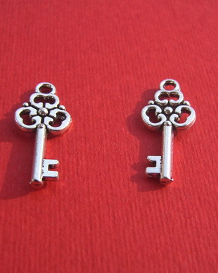 Cheita argintie aprox 2.5x10x23 mm (cu agatatoarea)