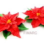 Poinsettia(Craciunita) - brosa