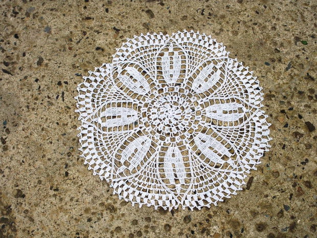 Dantela 253