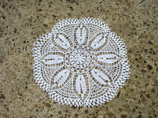 Dantela 253