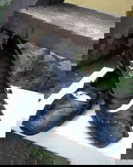 MINUNATI PANTOFI RETRO PIELE NATURALA CU APLICATII EXTERIOARE MARIME 38 INTERIOR 24,5 CM