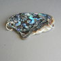 Link (conector) Paua Shell (LNZ41)