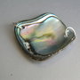 Link (conector) Paua Shell (LNZ45)