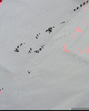 Fata de masa brodata