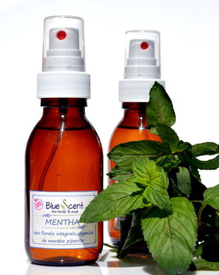 Mentha-apa florala integrala ,organica de menta rece