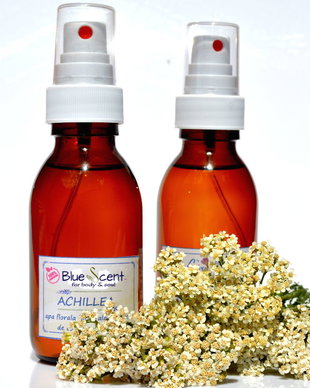 Achillea-apa florala integrala din coada soricelului