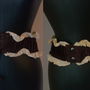 CUREA TIP CORSET