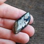 Cabochon Apache Gold  - natural netratat