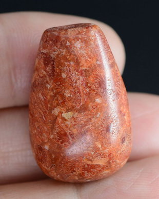 9263 - Coral poros, rosu caramiziu, 27x17x13mm