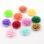 Cabochon rasina