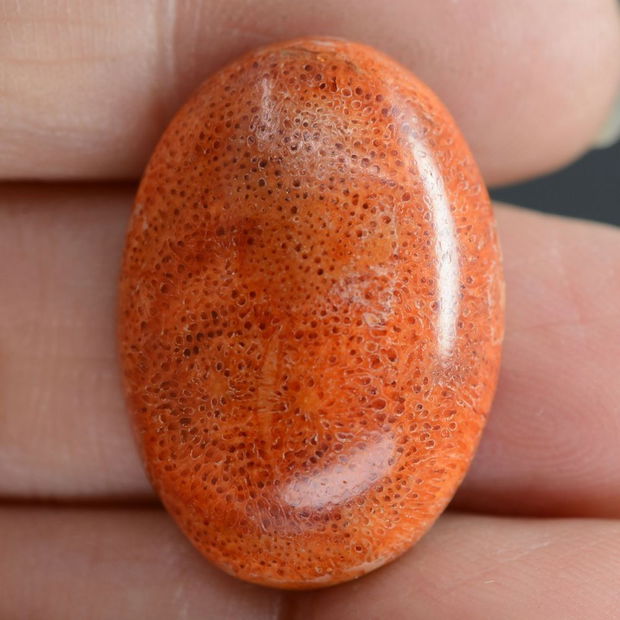 9267 - Cabochon, coral poros, rosu caramiziu, oval, 25x18x7mm