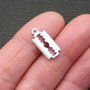 6 x Charm argintiu lama