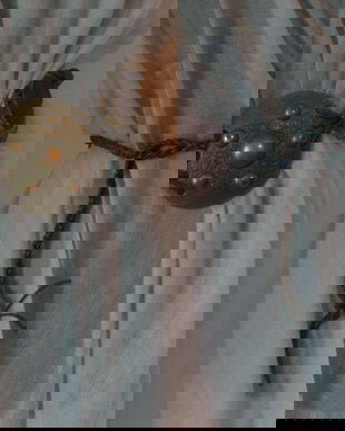 CUREA TALIE CUPRU LUCRAT MANUAL