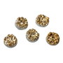 Cabochon rasina